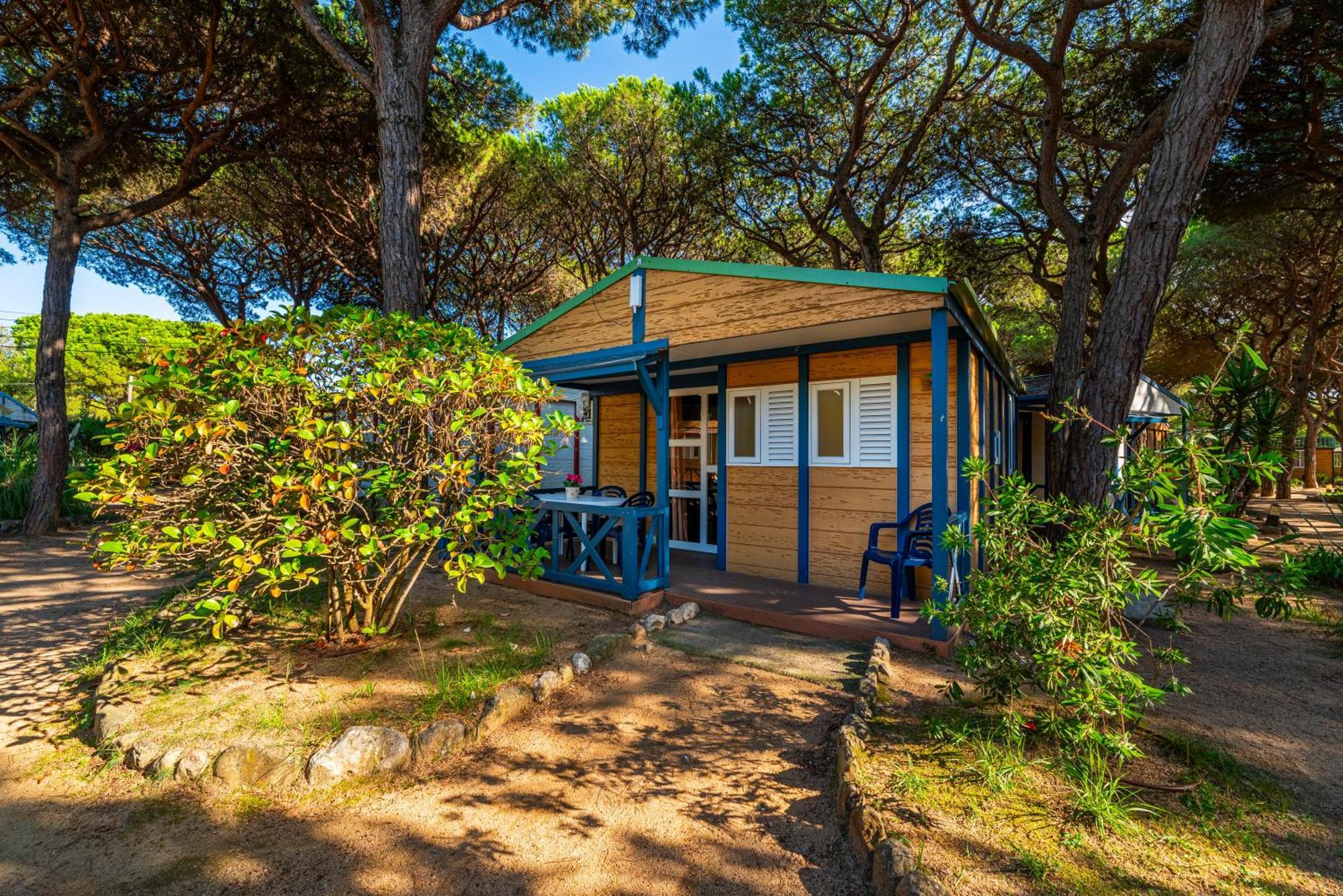 Standard Bungalow,1695324794:JPEG
